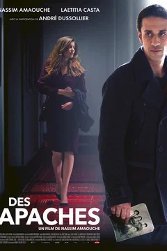 Affiche du film Des Apaches