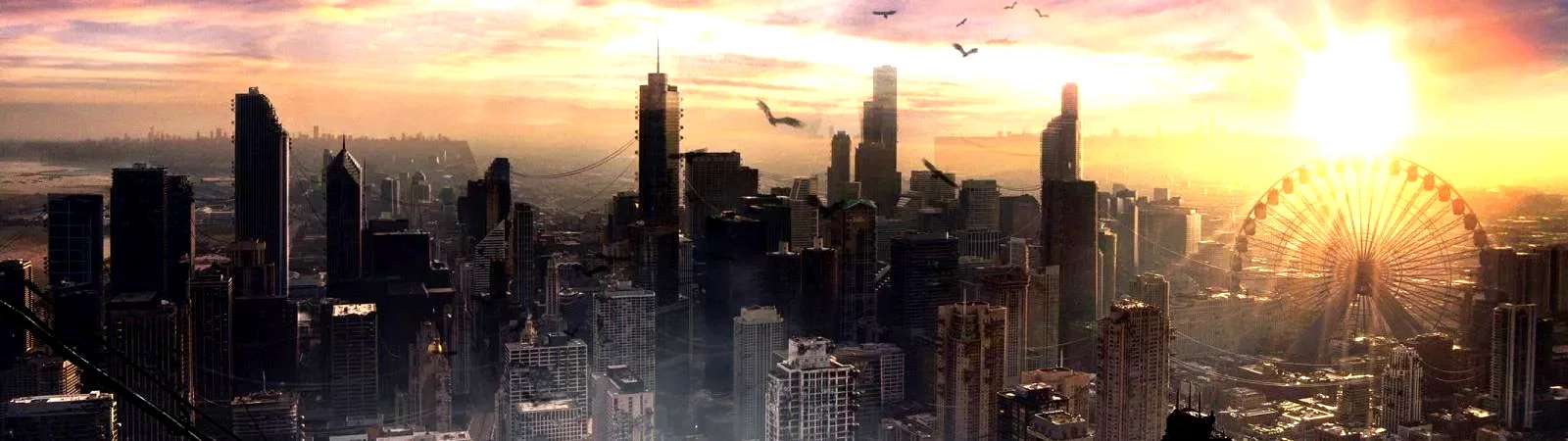 Photo 16 du film : Divergente