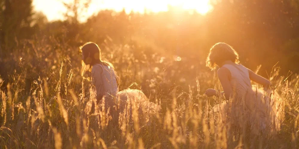 Photo du film : Summer