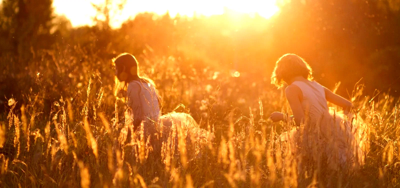 Photo 2 du film : Summer