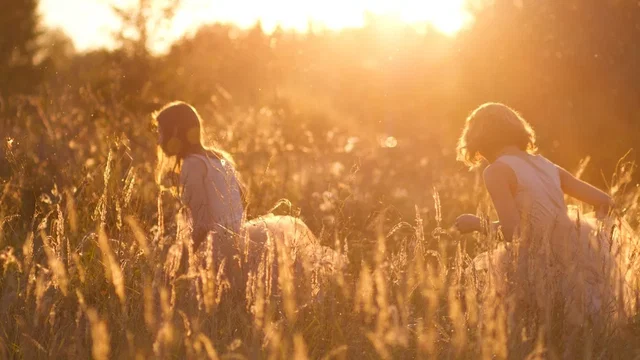 Affiche du film : Summer