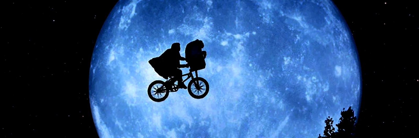 Photo 3 du film : E.T. l'extra-terrestre