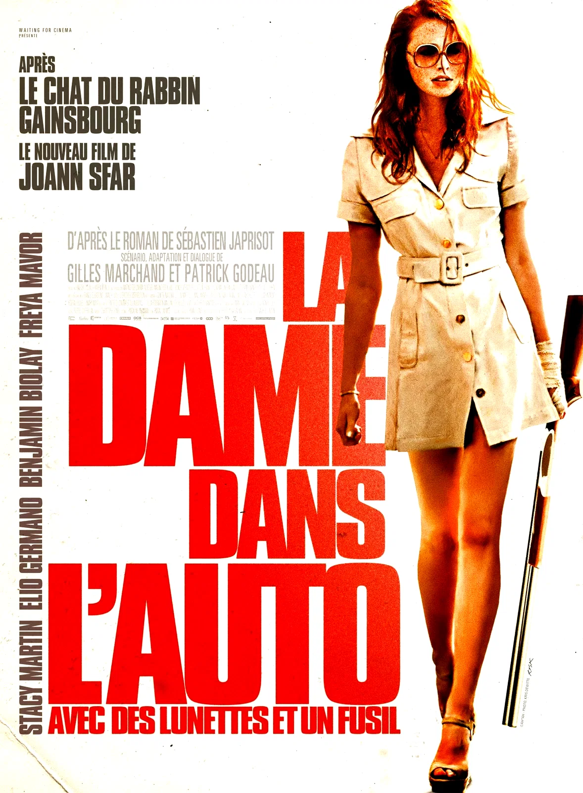 Affiche du film : La Dame dans l'auto avec des lunettes et un fusil