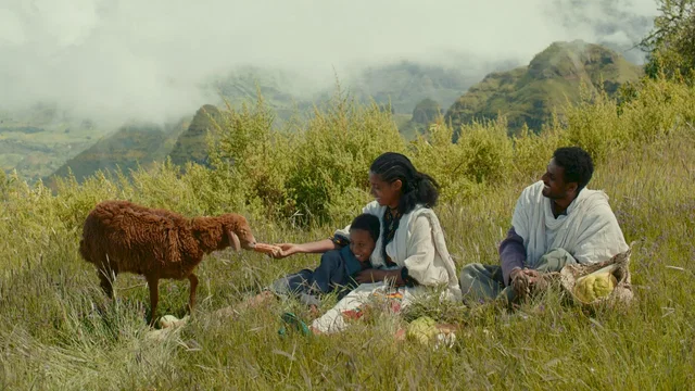 Affiche du film : Lamb