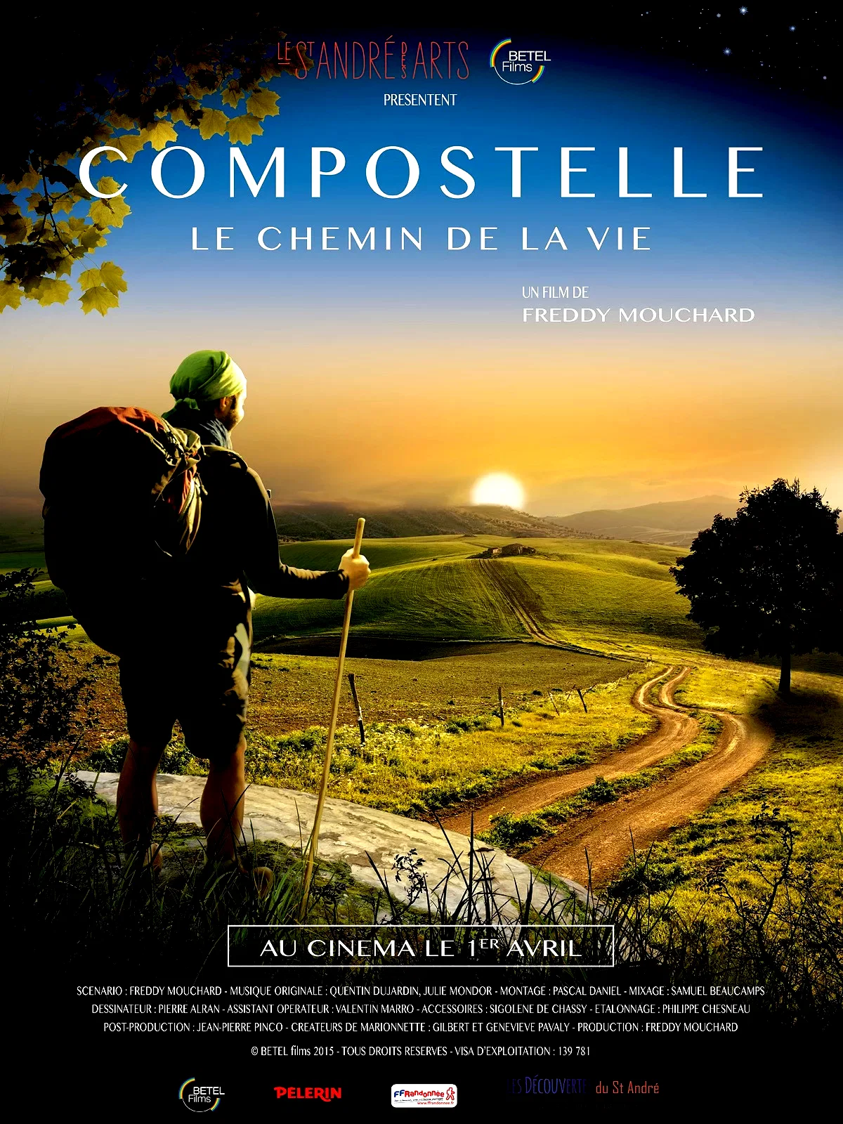 Affiche du film : Compostelle, le chemin de la vie