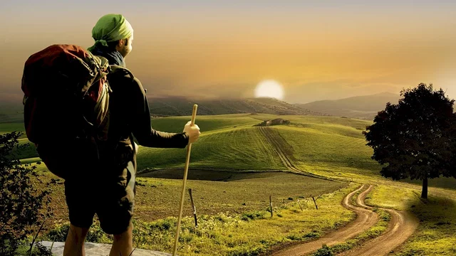 Affiche du film : Compostelle, le chemin de la vie