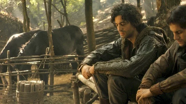 Affiche du film : Robin des bois, la véritable histoire
