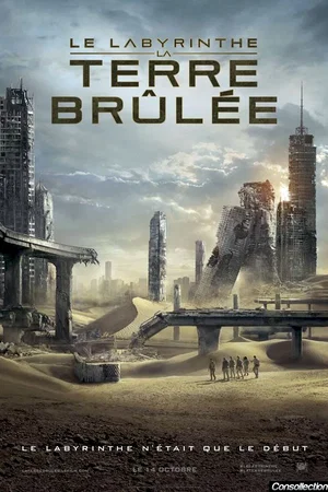 Photo du film : Le Labyrinthe : la terre brûlée