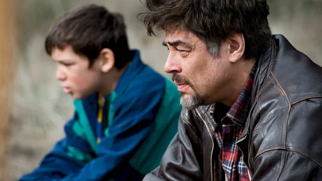 Photo du film : A Perfect Day