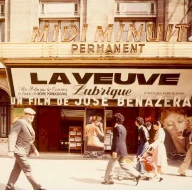 Miniature photo du film : La veuve lubrique