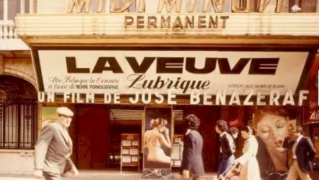 Affiche du film : La veuve lubrique