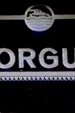 Affiche du film : Torgus