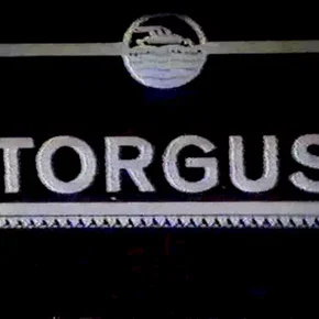 Photo du film : Torgus