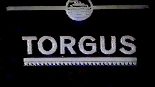 Affiche du film : Torgus