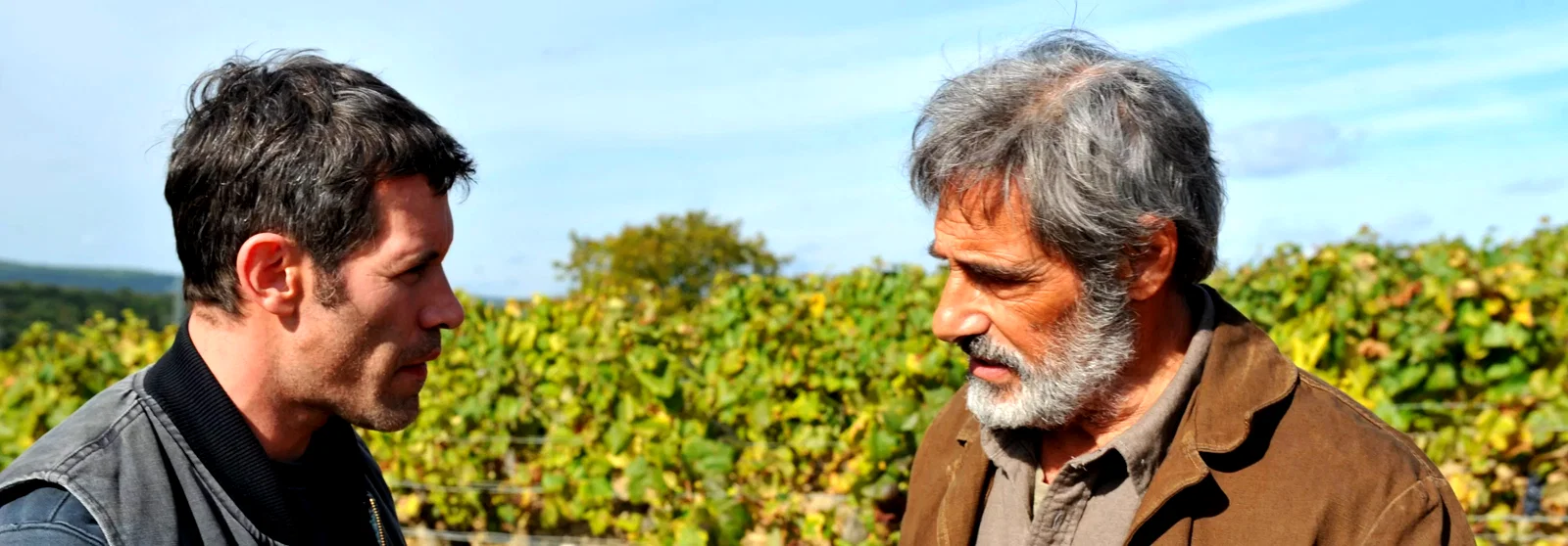 Photo 3 du film : Premiers crus