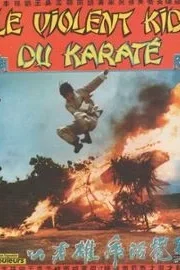 Affiche du film : Le violent kid du karate