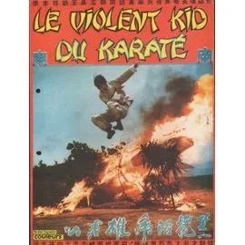 Affiche du film : Le violent kid du karate