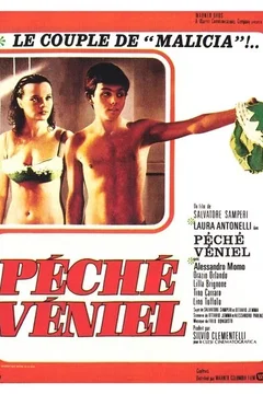 Affiche du film Peche veniel