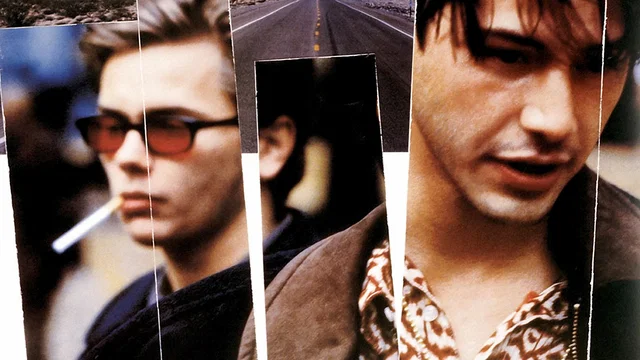 Affiche du film : My own private Idaho