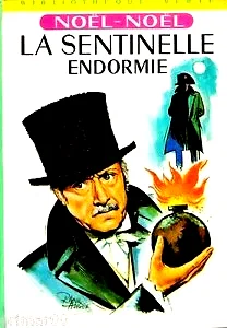 Affiche du film : La sentinelle endormie