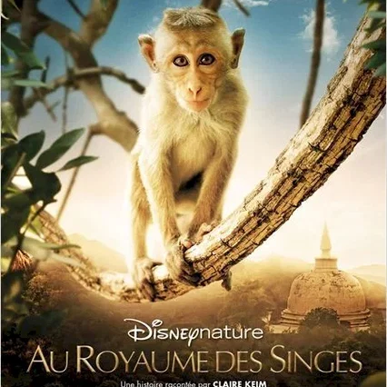 Miniature photo du film : Au royaume des singes
