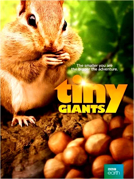 Affiche du film : Mini héros