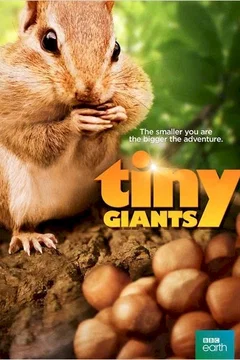 Affiche du film = Mini héros