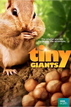 Affiche du film : Mini héros