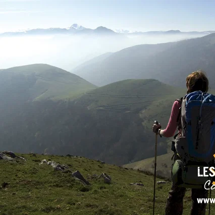 Miniature photo du film : Les Chemins de Compostelle