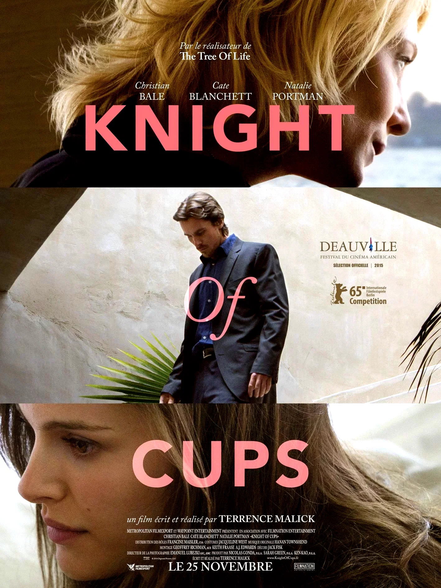Affiche du film : Knight of Cups
