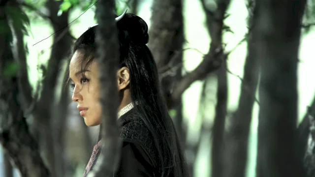 Affiche du film : The Assassin