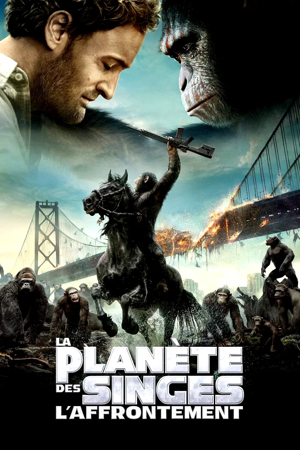Affiche du film : La planète des singes : l'affrontement