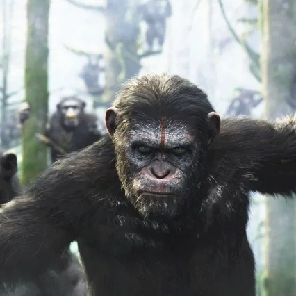 Miniature photo du film : La planète des singes : l'affrontement