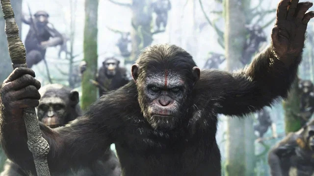 Affiche du film : La planète des singes : l'affrontement