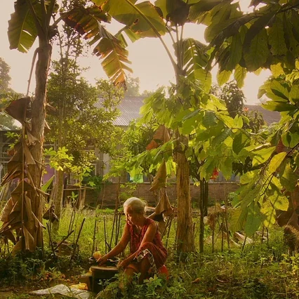 Miniature photo du film : The Look of silence