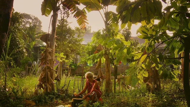 Affiche du film : The Look of silence