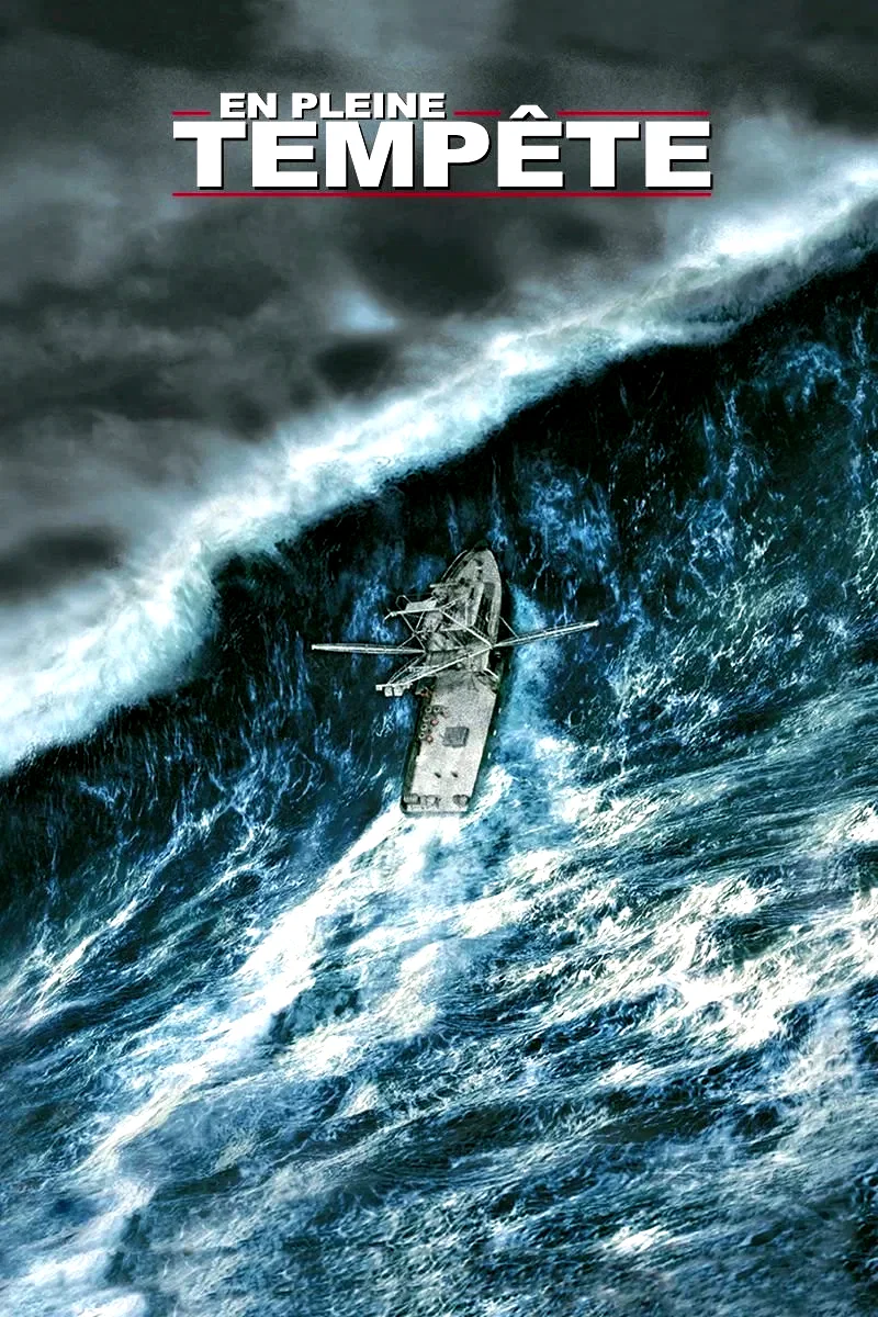 Affiche du film : En pleine tempête
