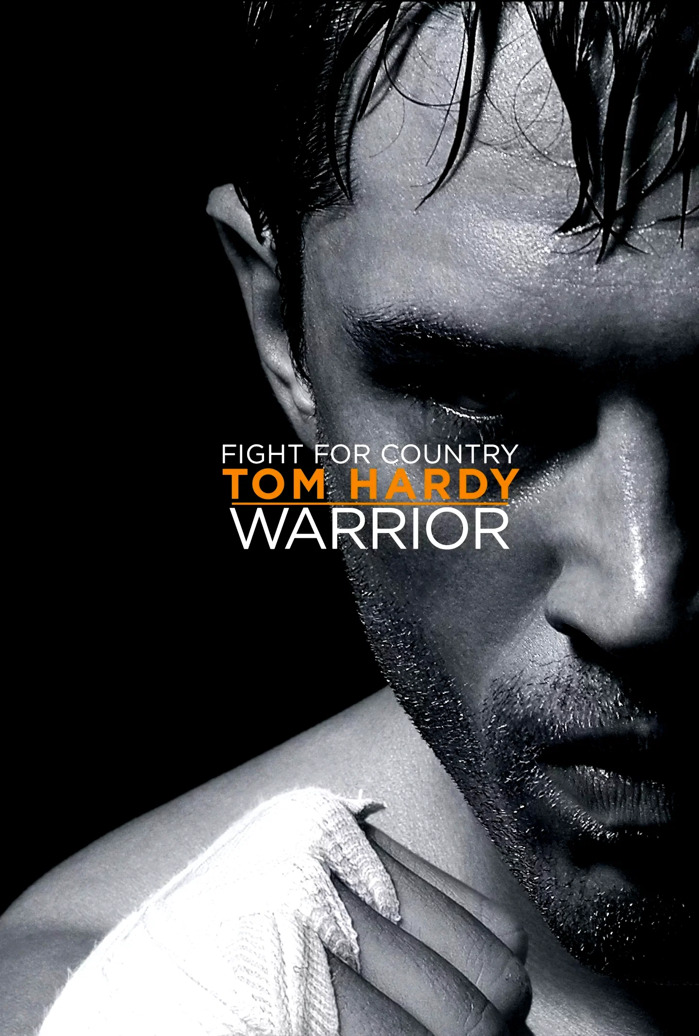 Affiche du film : Warrior