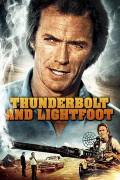 Affiche du film Le Canardeur