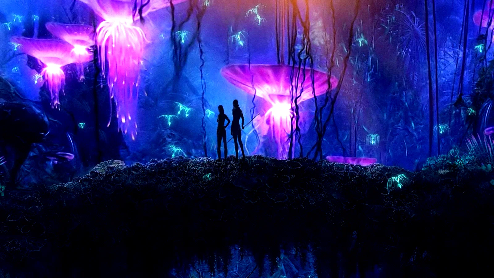Photo 26 du film : Avatar