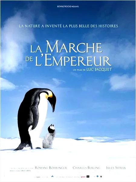 Photo 2 du film : La Marche de l'empereur 