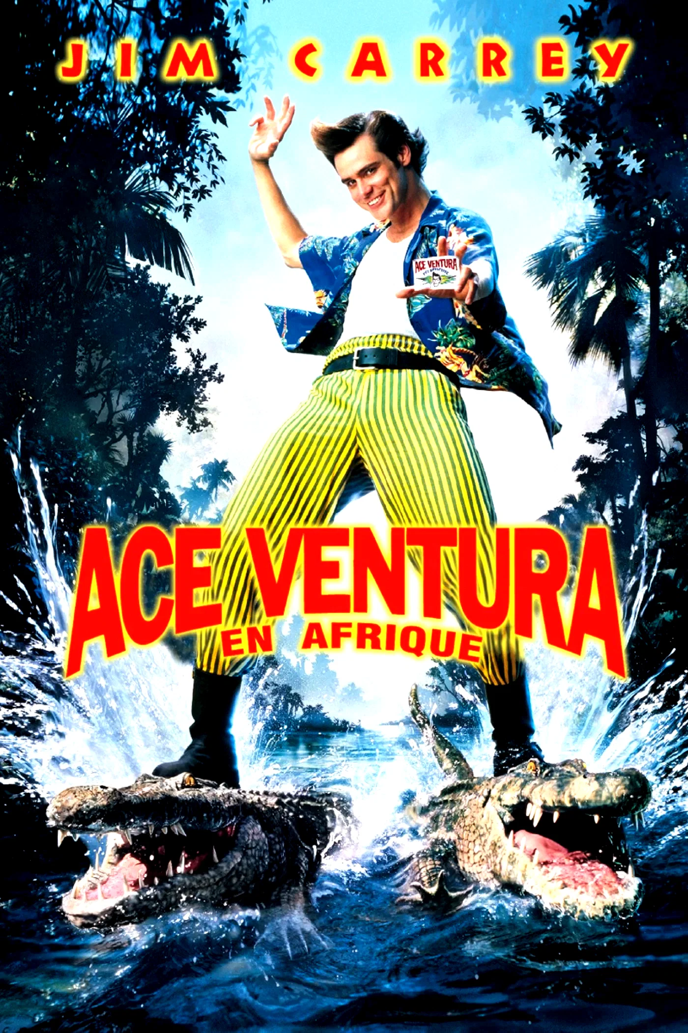 Affiche du film : Ace Ventura en Afrique