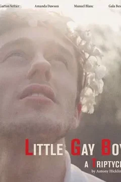 Affiche du film Little Gay Boy