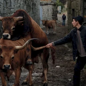 Photo du film : Volta à terra