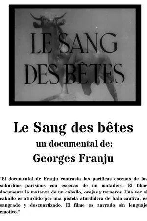 Affiche du film : Le Sang des bêtes