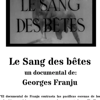 Miniature photo du film : Le Sang des bêtes