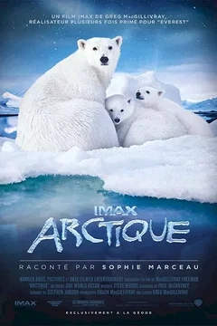 Affiche du film = Arctique
