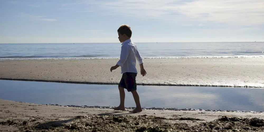 Photo du film : La terra dei Santi
