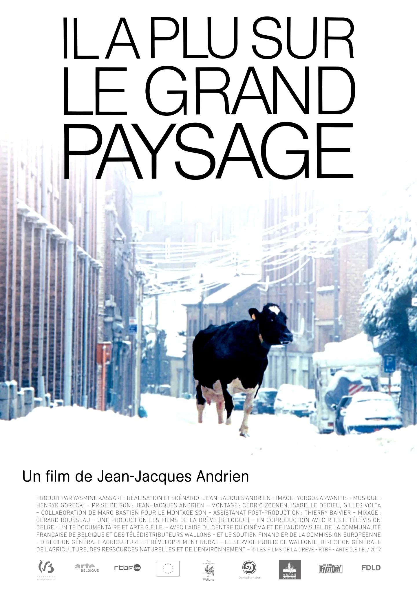 Affiche du film : Il a plu sur le grand paysage