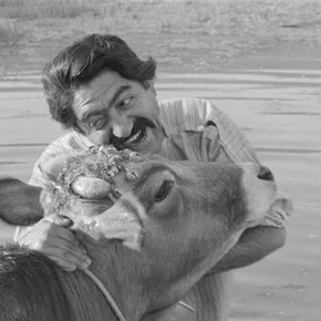 Photo du film : La Vache